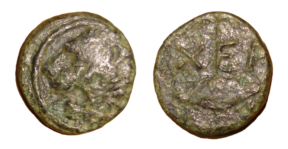 My-First-Animal-On-A-Coin.