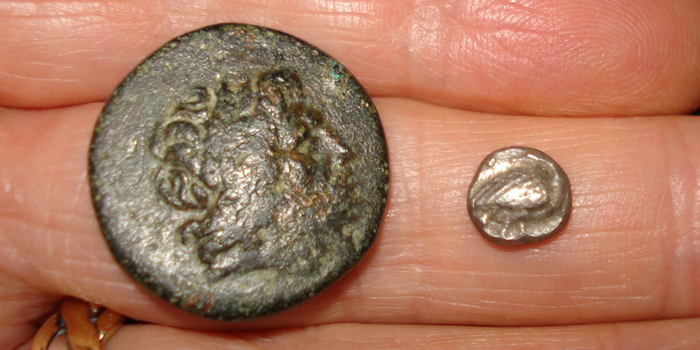 My-First-Animal-On-A-Coin.