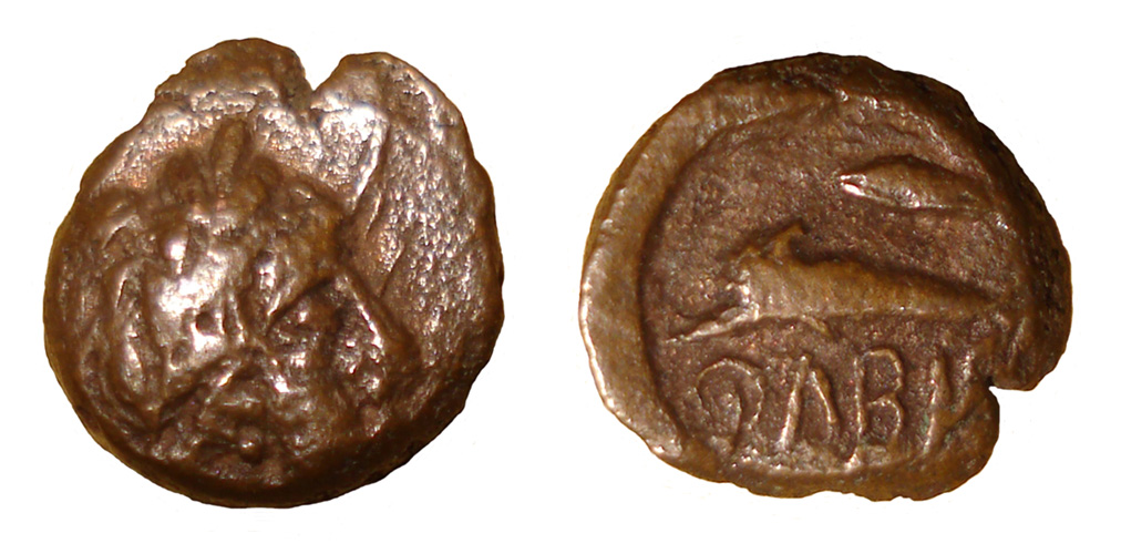 My-First-Animal-On-A-Coin.