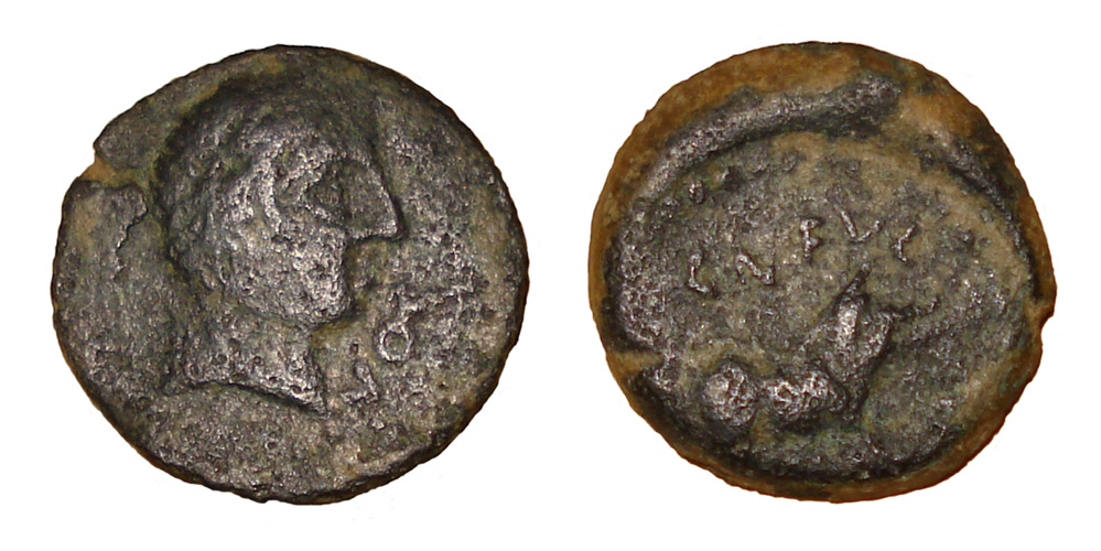 My-First-Animal-On-A-Coin.