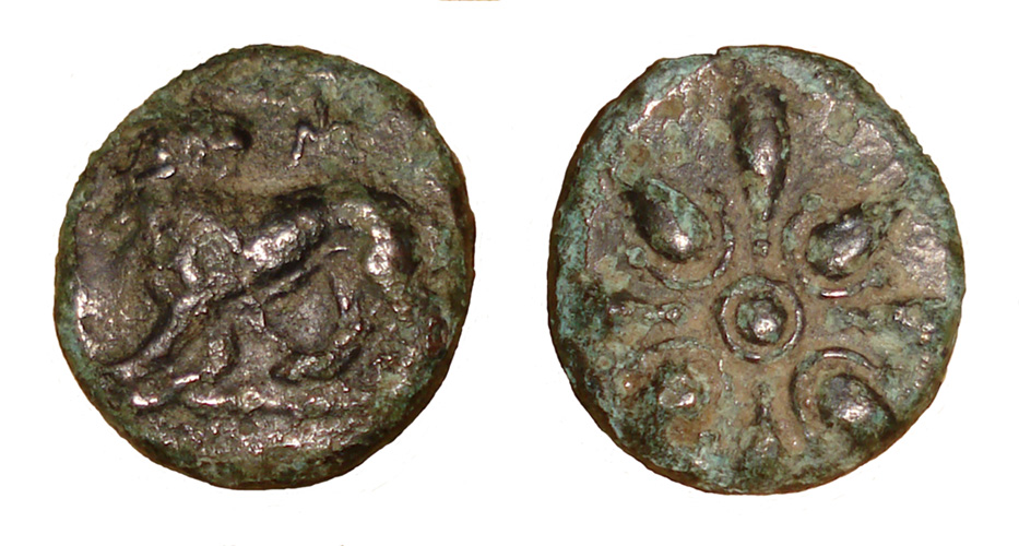 My-First-Animal-On-A-Coin.