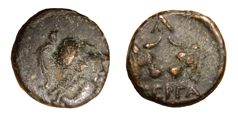 My-First-Animal-On-A-Coin.