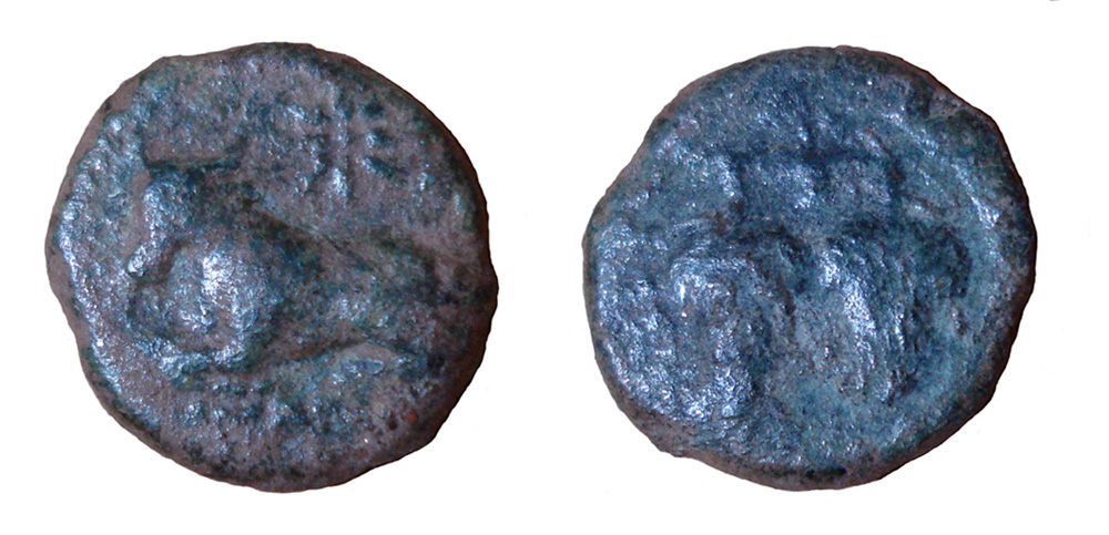 My-First-Animal-On-A-Coin.
