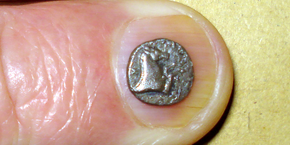 My-First-Animal-On-A-Coin.