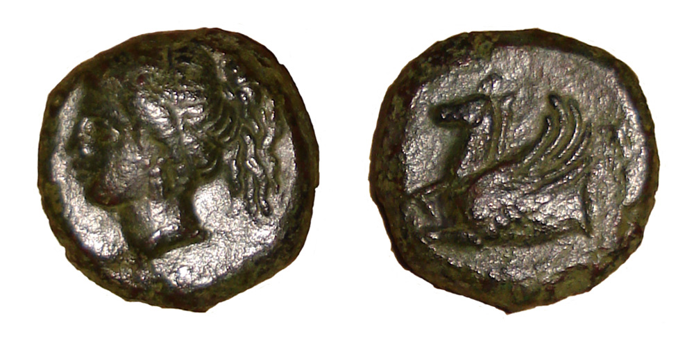 My-First-Animal-On-A-Coin.