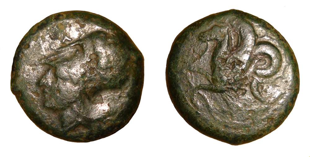 My-First-Animal-On-A-Coin.