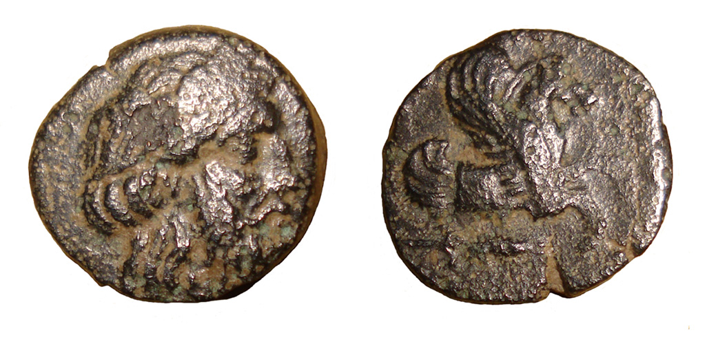My-First-Animal-On-A-Coin.