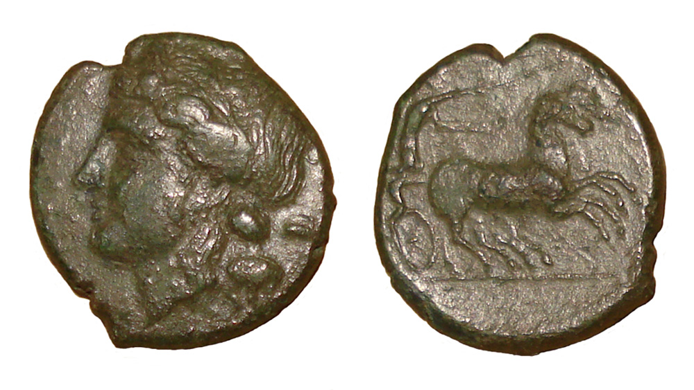 My-First-Animal-On-A-Coin.