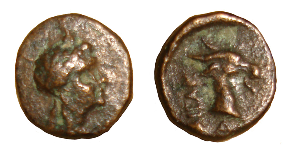 My-First-Animal-On-A-Coin.