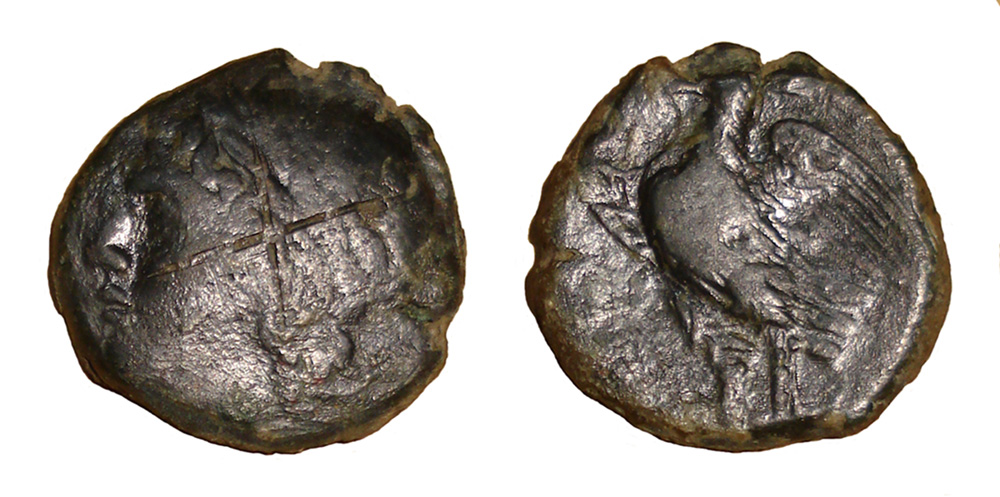 Help-Please-With-A-Possible-Hiketas