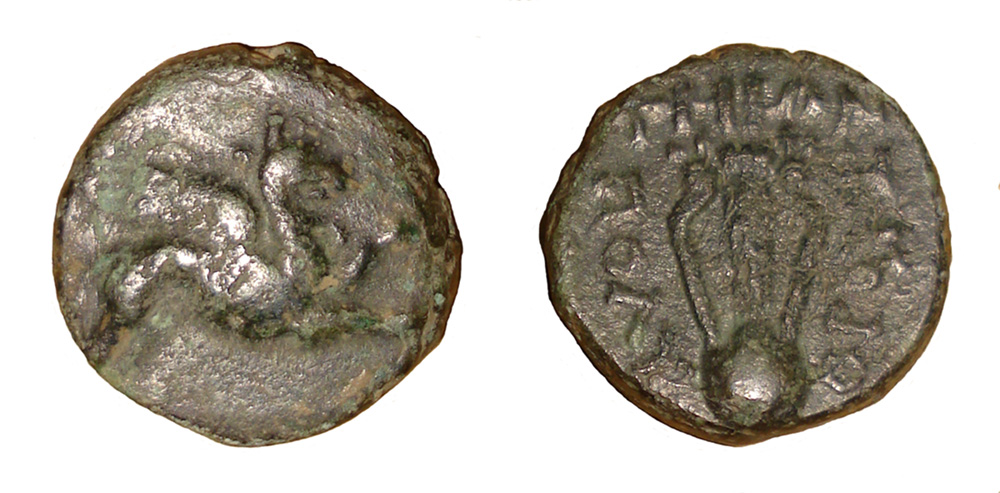 My-First-Animal-On-A-Coin.