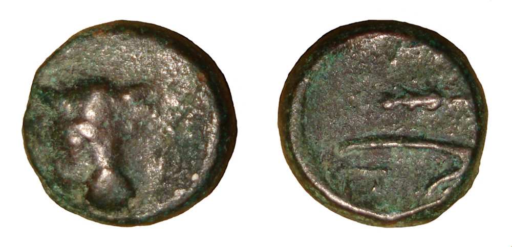 My-First-Animal-On-A-Coin.