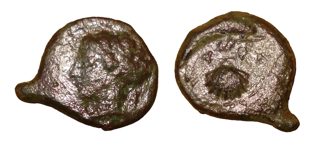 My-First-Animal-On-A-Coin.