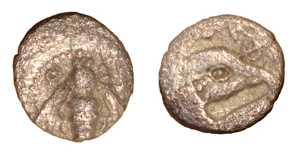 My-First-Animal-On-A-Coin.