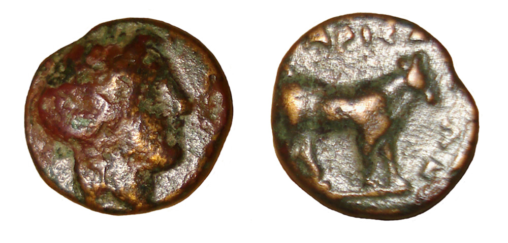 My-First-Animal-On-A-Coin.