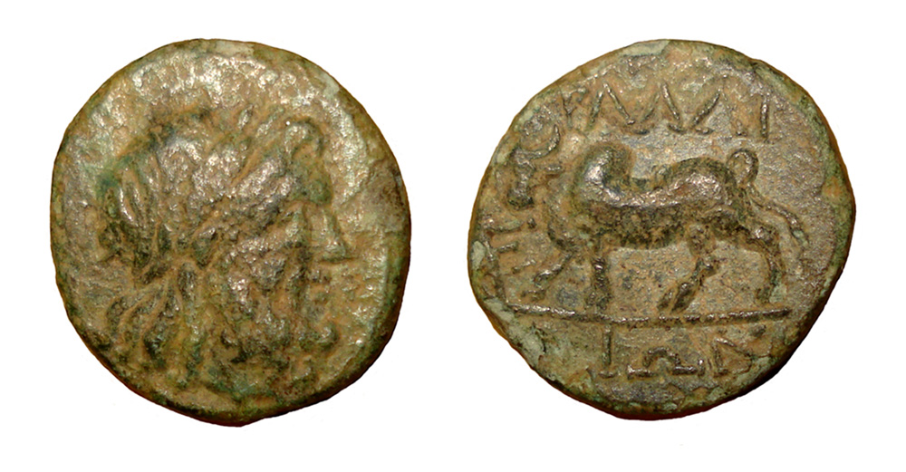 My-First-Animal-On-A-Coin.