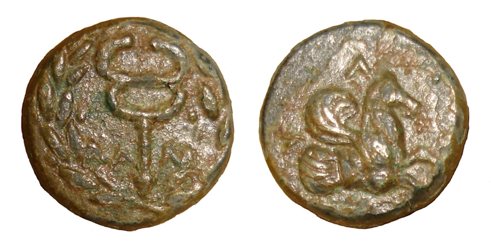 My-First-Animal-On-A-Coin.