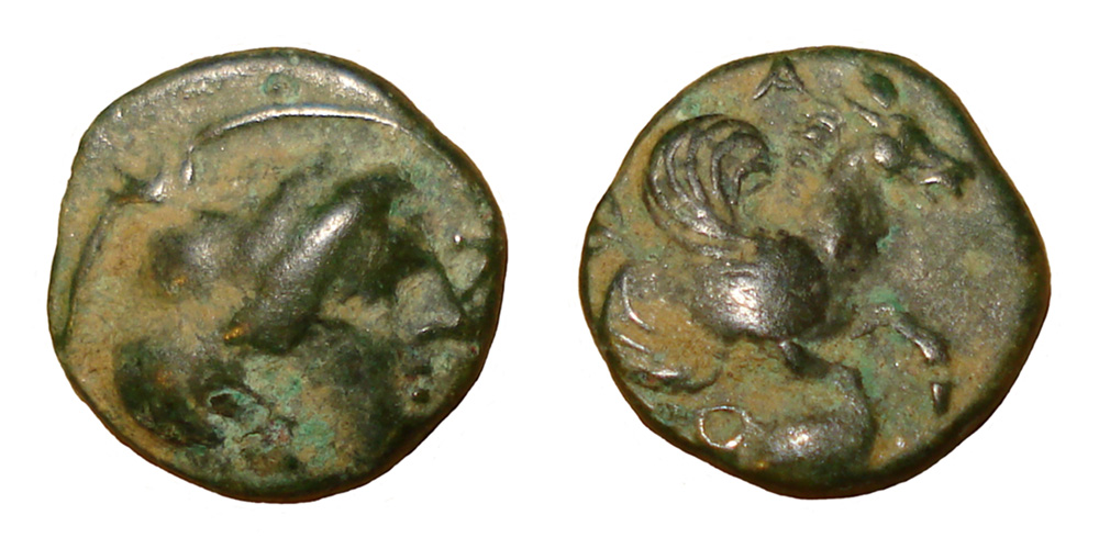 My-First-Animal-On-A-Coin.