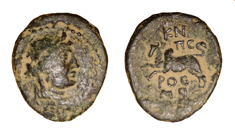 My-First-Animal-On-A-Coin.