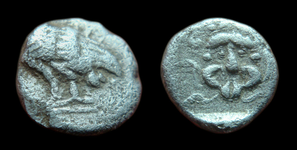 My-First-Animal-On-A-Coin.
