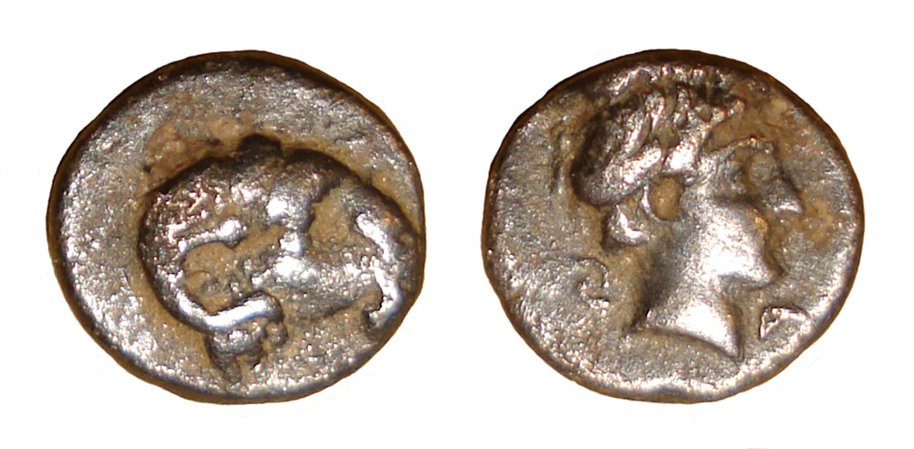 My-First-Animal-On-A-Coin.