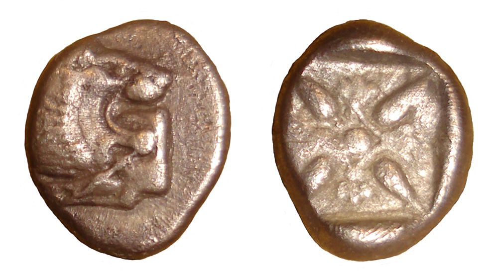 My-First-Animal-On-A-Coin.