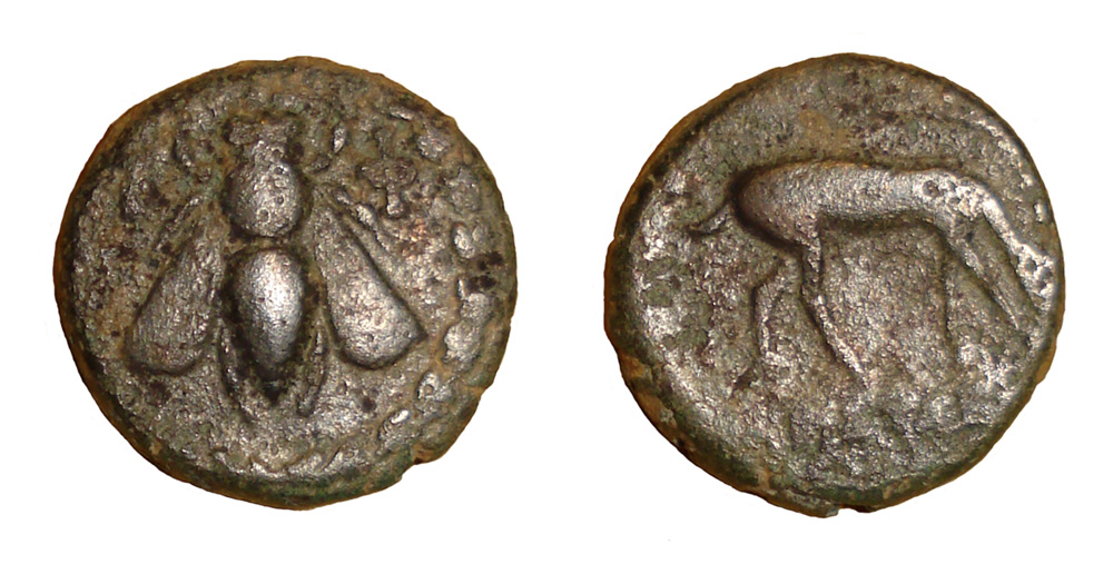 My-First-Animal-On-A-Coin.
