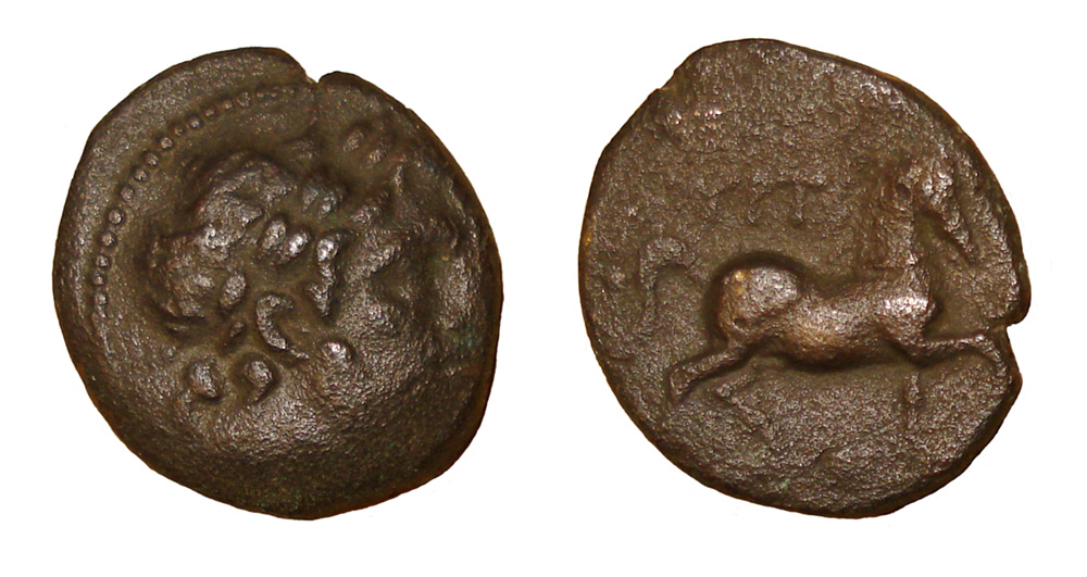My-First-Animal-On-A-Coin.