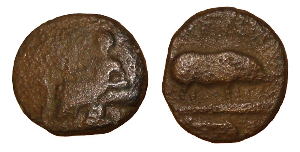 My-First-Animal-On-A-Coin.