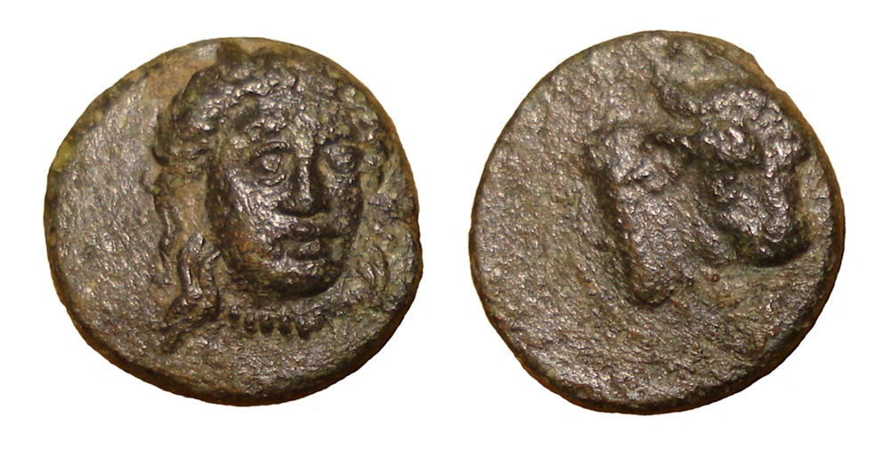 My-First-Animal-On-A-Coin.