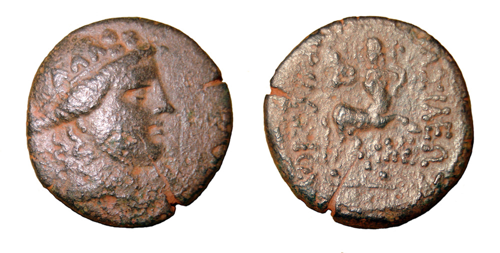 My-First-Animal-On-A-Coin.