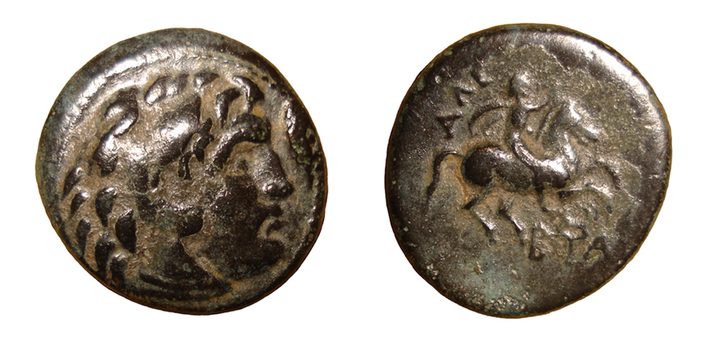 My-First-Animal-On-A-Coin.