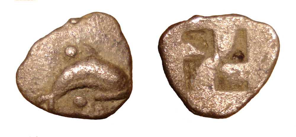 My-First-Animal-On-A-Coin.