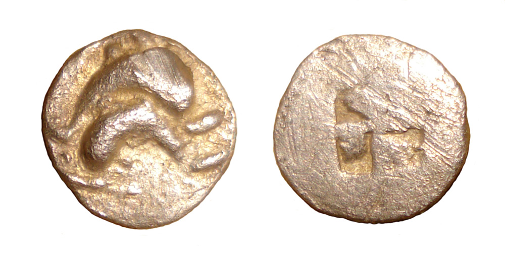 My-First-Animal-On-A-Coin.