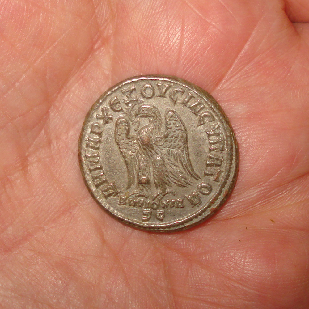 My-First-Animal-On-A-Coin.