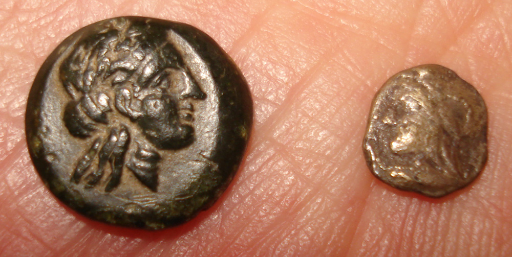My-First-Animal-On-A-Coin.