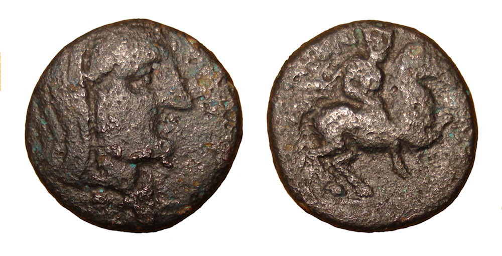 My-First-Animal-On-A-Coin.