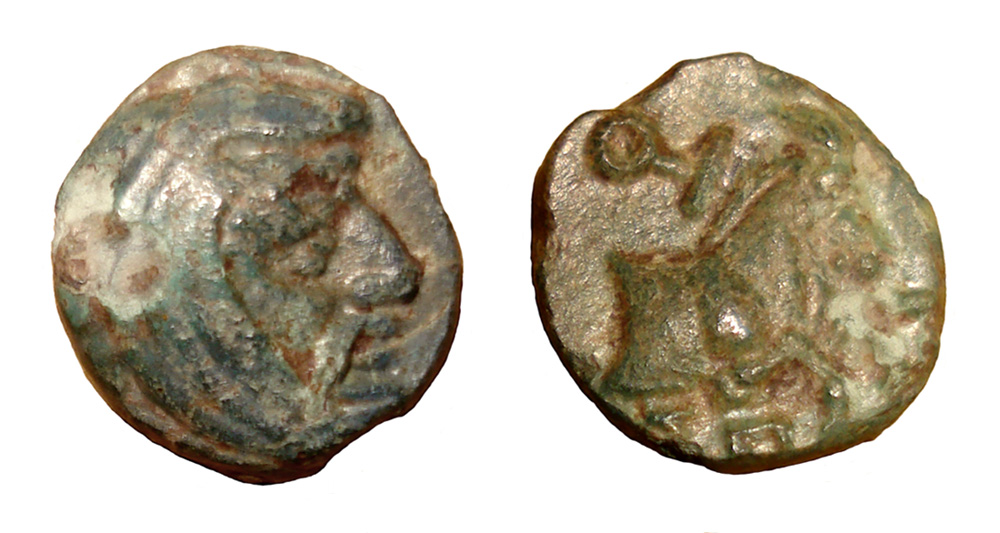 My-First-Animal-On-A-Coin.