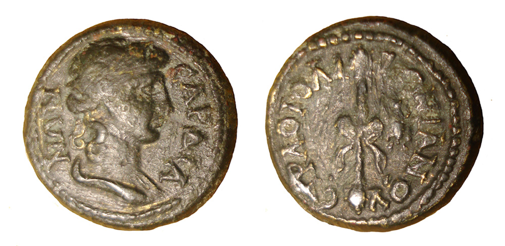 My-First-Animal-On-A-Coin.