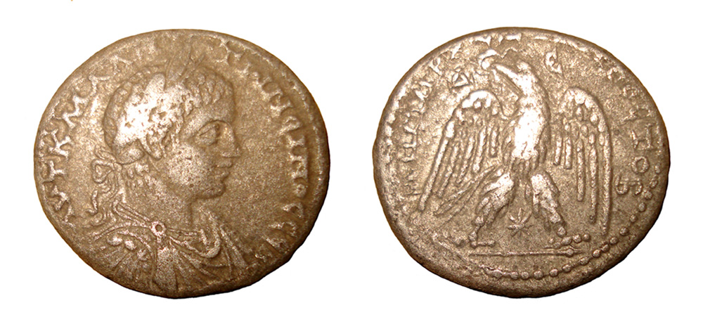 My-First-Animal-On-A-Coin.