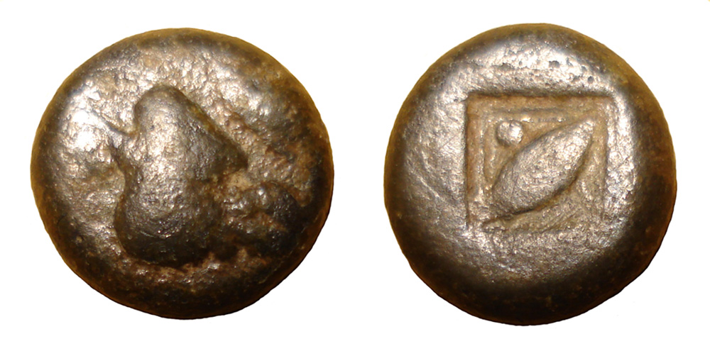 My-First-Animal-On-A-Coin.