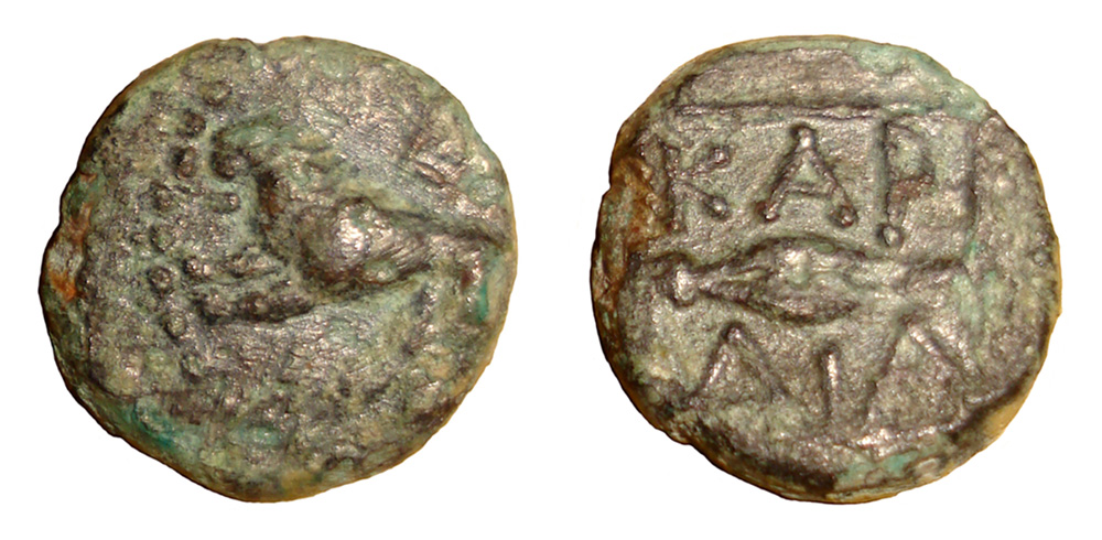 My-First-Animal-On-A-Coin.