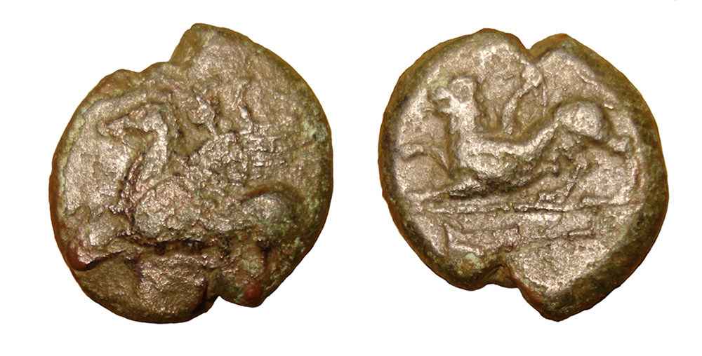 My-First-Animal-On-A-Coin.