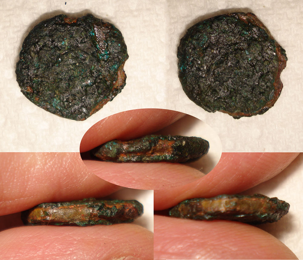 Augustus---To-Clean-Or-Not-To-Clean?