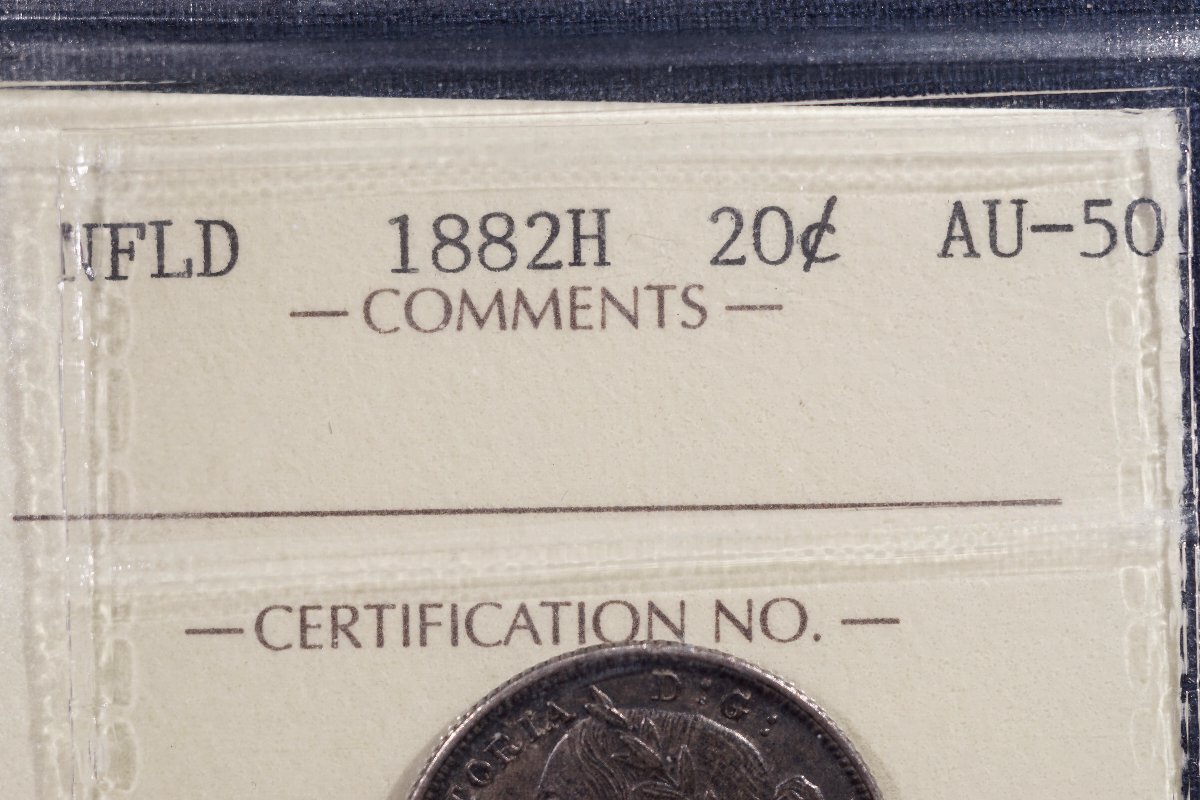 You-Vs-ICCS-Newfoundland-1882-H-20-Cents