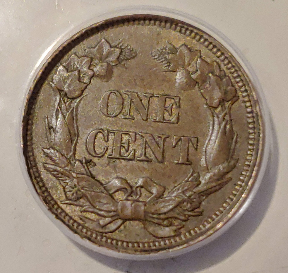 1858-Flying-Eagle-Cent---You-Vs.-ANACS
