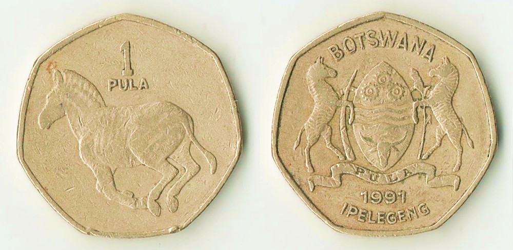 166-Days-Of-Yakko's-World-Coins