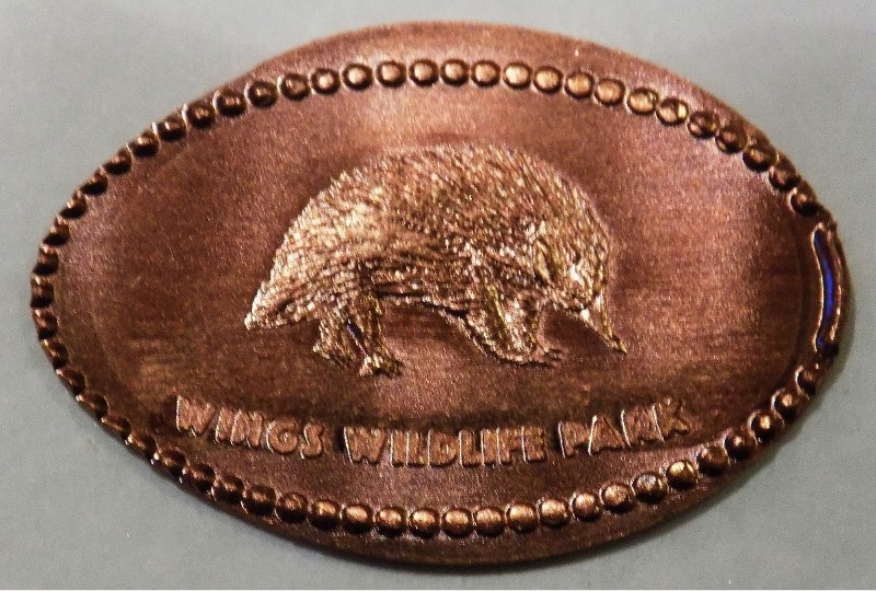 Elongated-Coins/Pennies