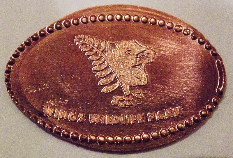 Elongated-Coins/Pennies