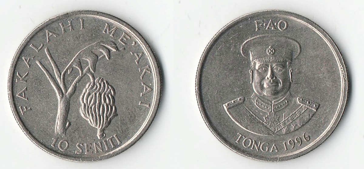 Show-Your-Coins-With-Fruit.